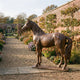 Life-Size Traditional Standing Horse Bronze Sculpture in reddish-brown patina by Giant Sculptures, displayed on a gravel path in a walled garden with autumn borders.