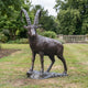 Life-Size Traditional Standing Ibex Bronze Sculpture by Giant Sculptures with tall ridged horns and dark patina, displayed on grass in a formal garden.