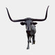 Front-facing Life-Size Traditional Texas Longhorn Bull Bronze Sculpture by Giant Sculptures, showing wide-spanning horns and dark patina against a plain light background.