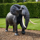 Life-Size Walking African Elephant Bronze Sculpture by Giant Sculptures shown mid-stride with spread ears and pale tusks on gravel beside a hedged lawn.