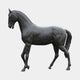 Life-Size Walking Horse Bronze Sculpture by Giant Sculptures shown in left-side profile with foreleg raised, dark charcoal-black patina, against a plain light background.