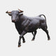 Life-Size Walking Longhorn Bull Bronze Sculpture by Giant Sculptures, 200cm, dark patina with golden-brown horns, mid-stride pose, shown on a plain background.
