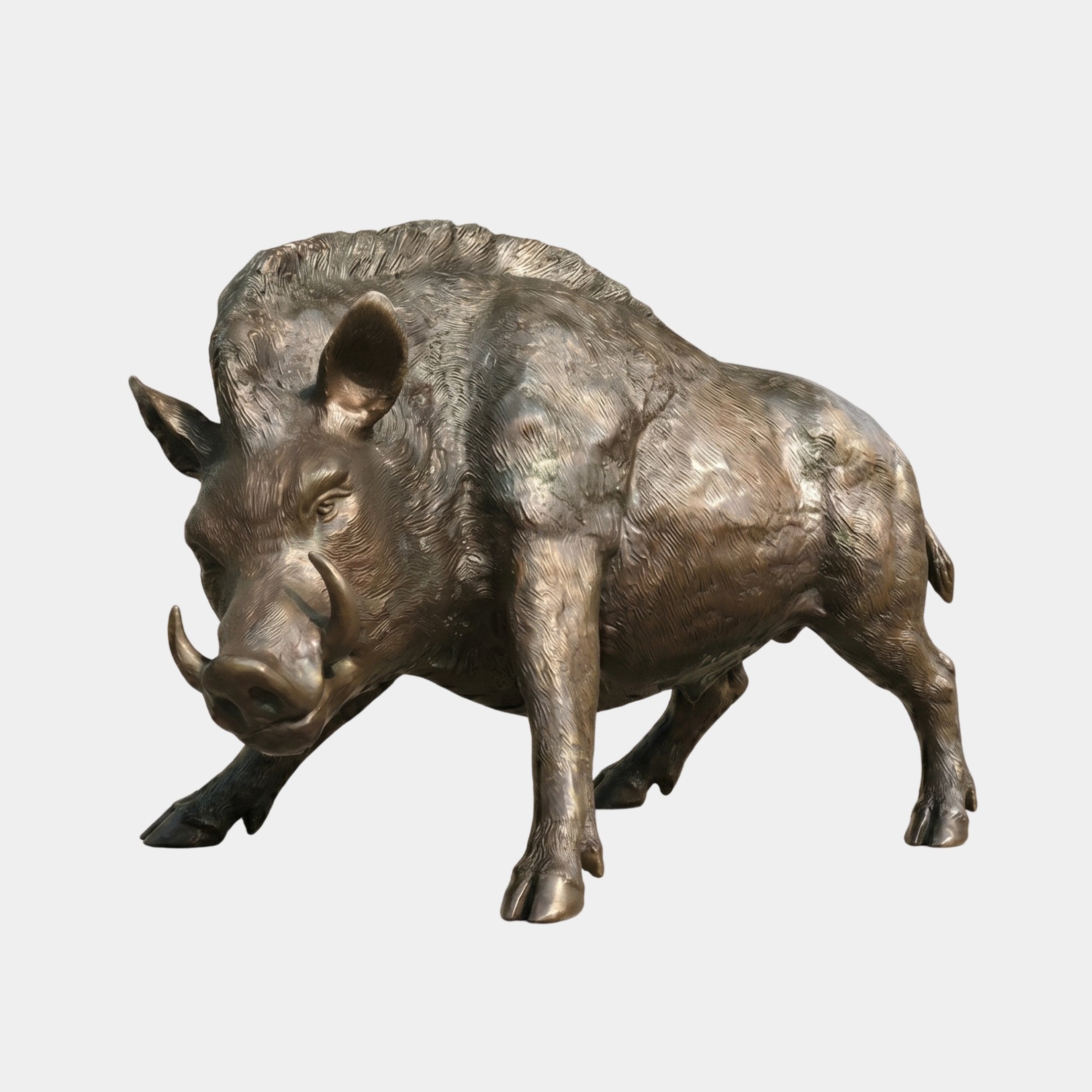 Life-Size Wild Boar Bronze Sculpture by Giant Sculptures shown in a forward-charging stance with lowered head, tusks out, and bristled ridge, on a plain background.