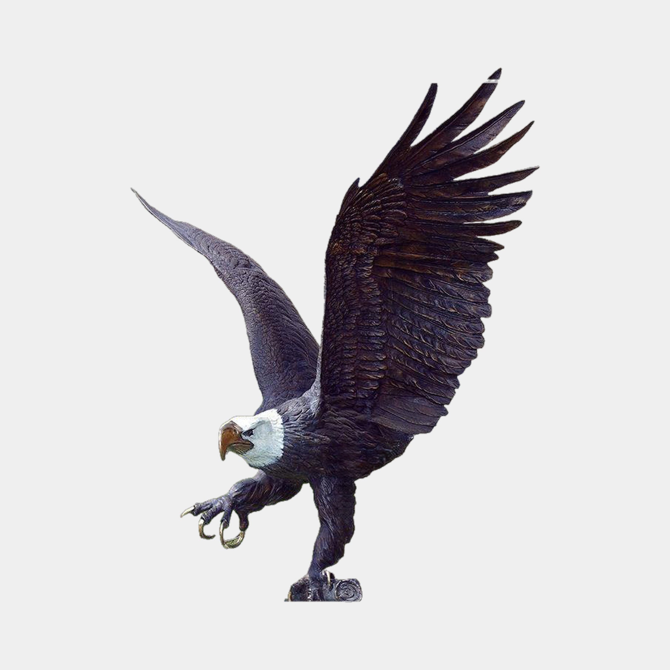 Monumental Bald Eagle Bronze Sculpture by Giant Sculptures, 220cm tall with wings raised, talons extended mid-flight, white head and dark patina, on a plain background.