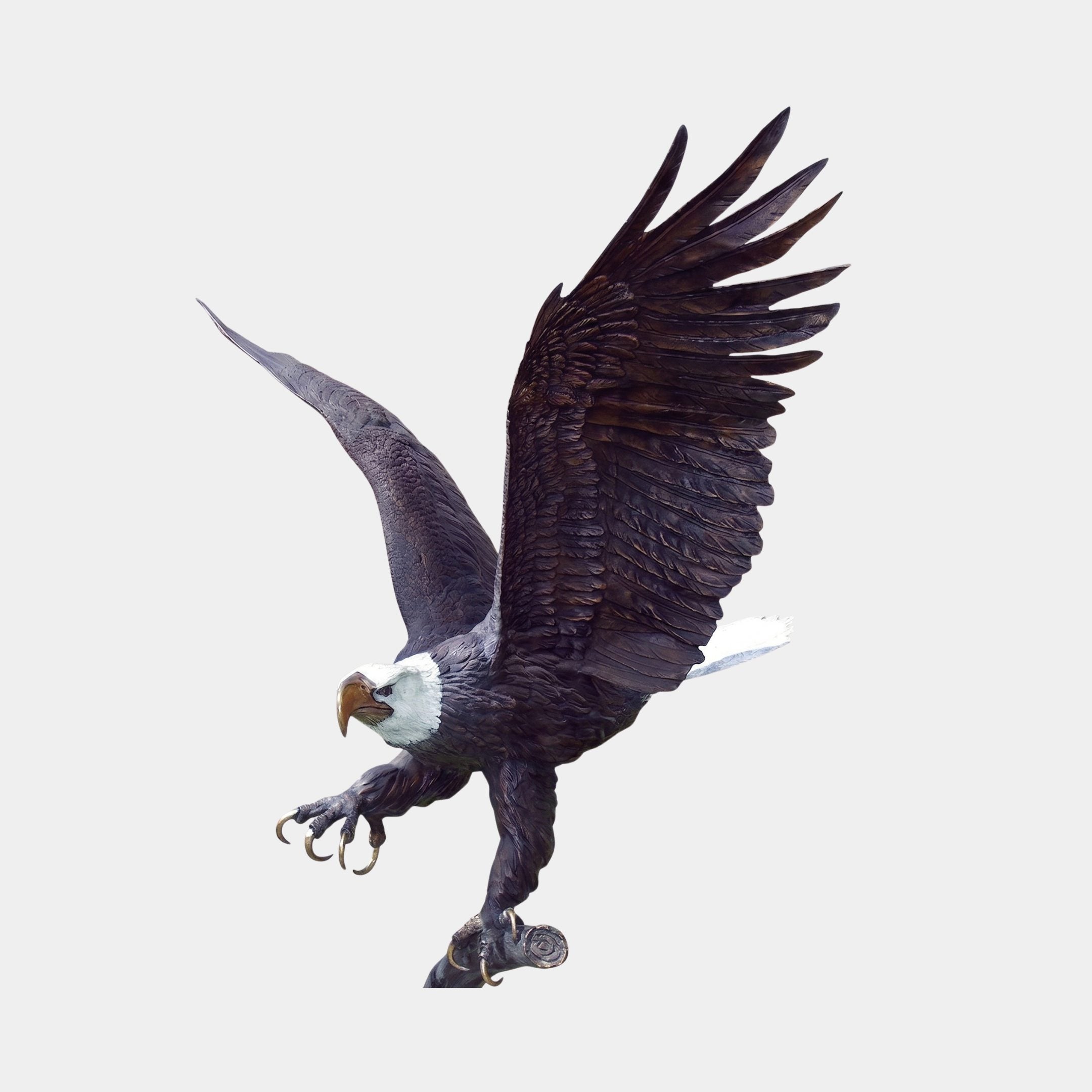 Monumental Bald Eagle Bronze Sculpture by Giant Sculptures shown mid-flight with wings raised and talons extended, dark patina with painted white head, on light background.