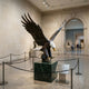 Monumental Bald Eagle Bronze Sculpture by Giant Sculptures, 220cm, wings spread in landing pose on a green marble plinth inside a museum gallery.