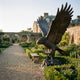 Monumental Bald Eagle Bronze Sculpture by Giant Sculptures, wings raised mid-landing on a rocky base, displayed in a walled formal garden beside a manor house.
