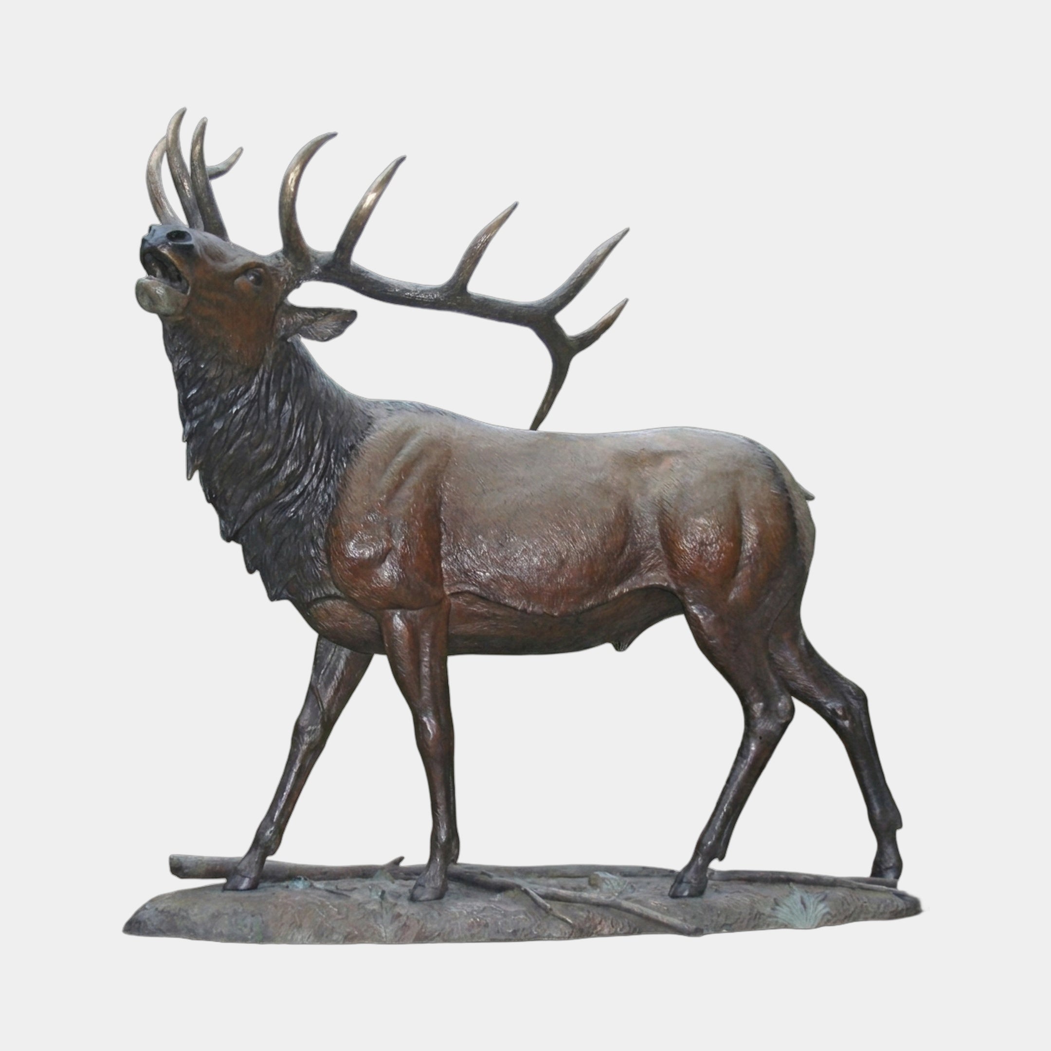 Monumental Bugling Bull Elk Bronze Sculpture by Giant Sculptures, side view of the 250cm warm brown patinated elk mid-call on a textured base.