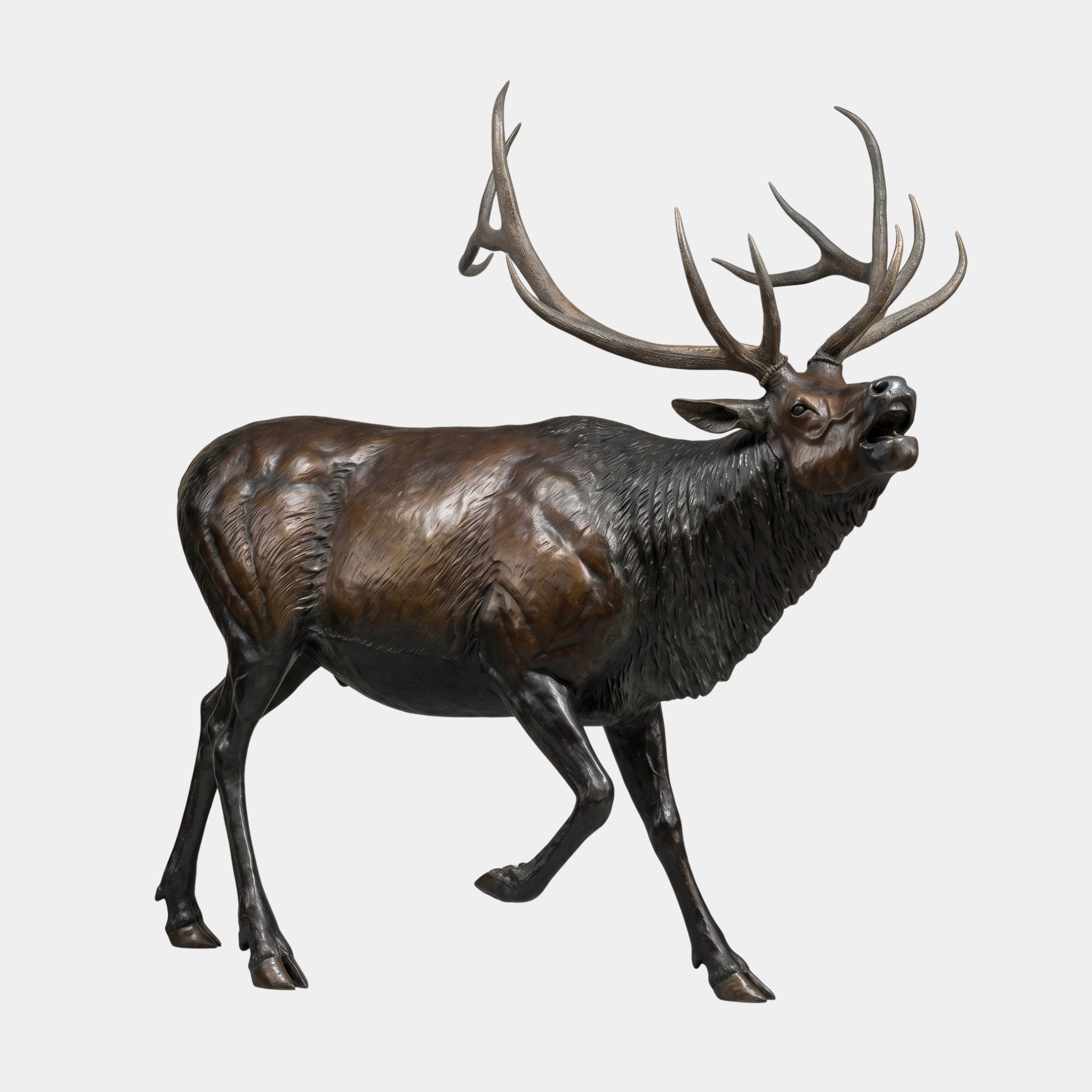 Giant Sculptures Monumental Bugling Bull Elk Bronze Sculpture, 270cm, side view of the warm brown patinated elk mid-stride with head raised mid-bugle on a plain background.