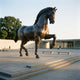 Monumental Classical Horse Bronze Sculpture by Giant Sculptures, dark-patinated stallion mid-prance with raised foreleg, set on a paved plaza outside a modern building.