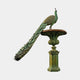Monumental Classical Peacock Fountain Bronze Sculpture by Giant Sculptures, 250cm, with verdigris patina peacock perched on a tiered basin and pedestal.