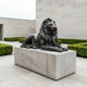 Monumental Classical Recumbent Lion Bronze Sculpture by Giant Sculptures, 190cm, head turned right, dark patina, on a stone plinth in a hedged courtyard.