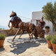 Monumental Classical Roman Chariot with Warrior and Horses Bronze Sculpture by Giant Sculptures, shown on a seaside terrace with lavender and olive tree.