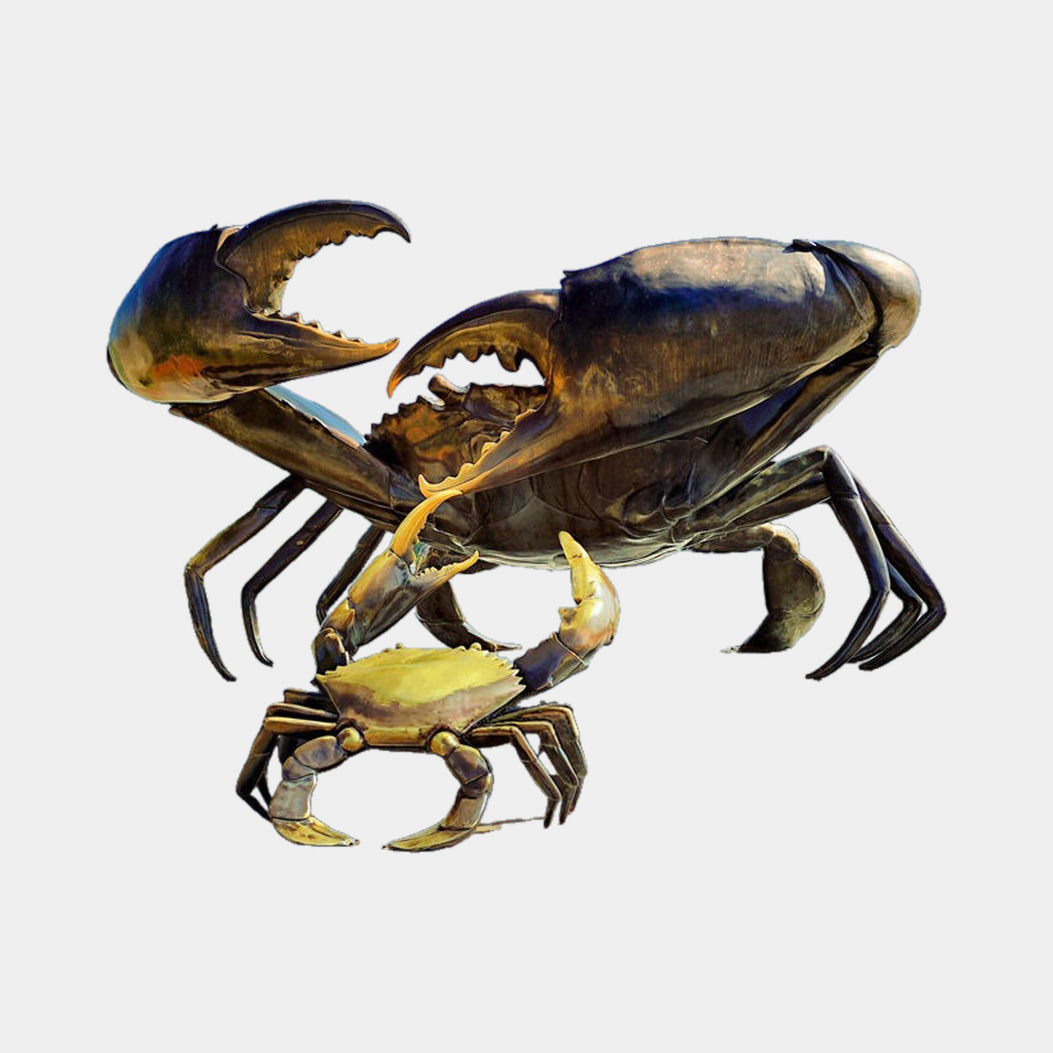 Monumental Contemporary Crab and Companion Bronze Sculpture by Giant Sculptures, large crab with raised claws beside a smaller crab, dual-tone patina finish.