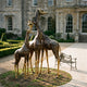 Monumental Contemporary Herd of Six Giraffes Bronze Sculpture by Giant Sculptures, dark and gold patina figures grouped on a lawn outside a stone manor.