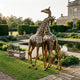 Monumental Intertwined Giraffes Bronze Sculpture by Giant Sculptures with two-tone golden and black patina, displayed on a manor garden lawn beside a pond and bench.