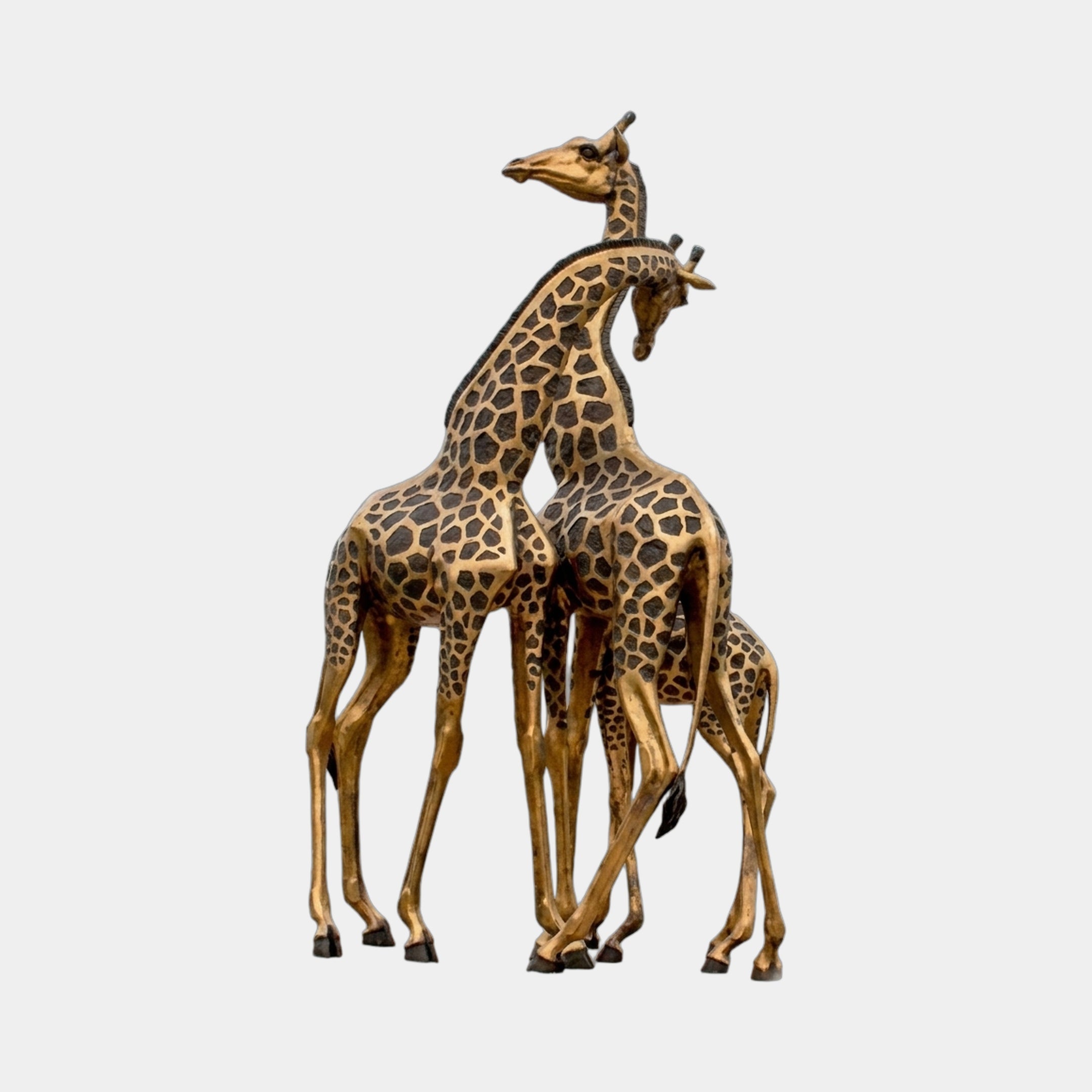 Monumental Intertwined Giraffes Bronze Sculpture by Giant Sculptures, two life-size giraffes with crossed necks in two-tone golden and black patina, on white.