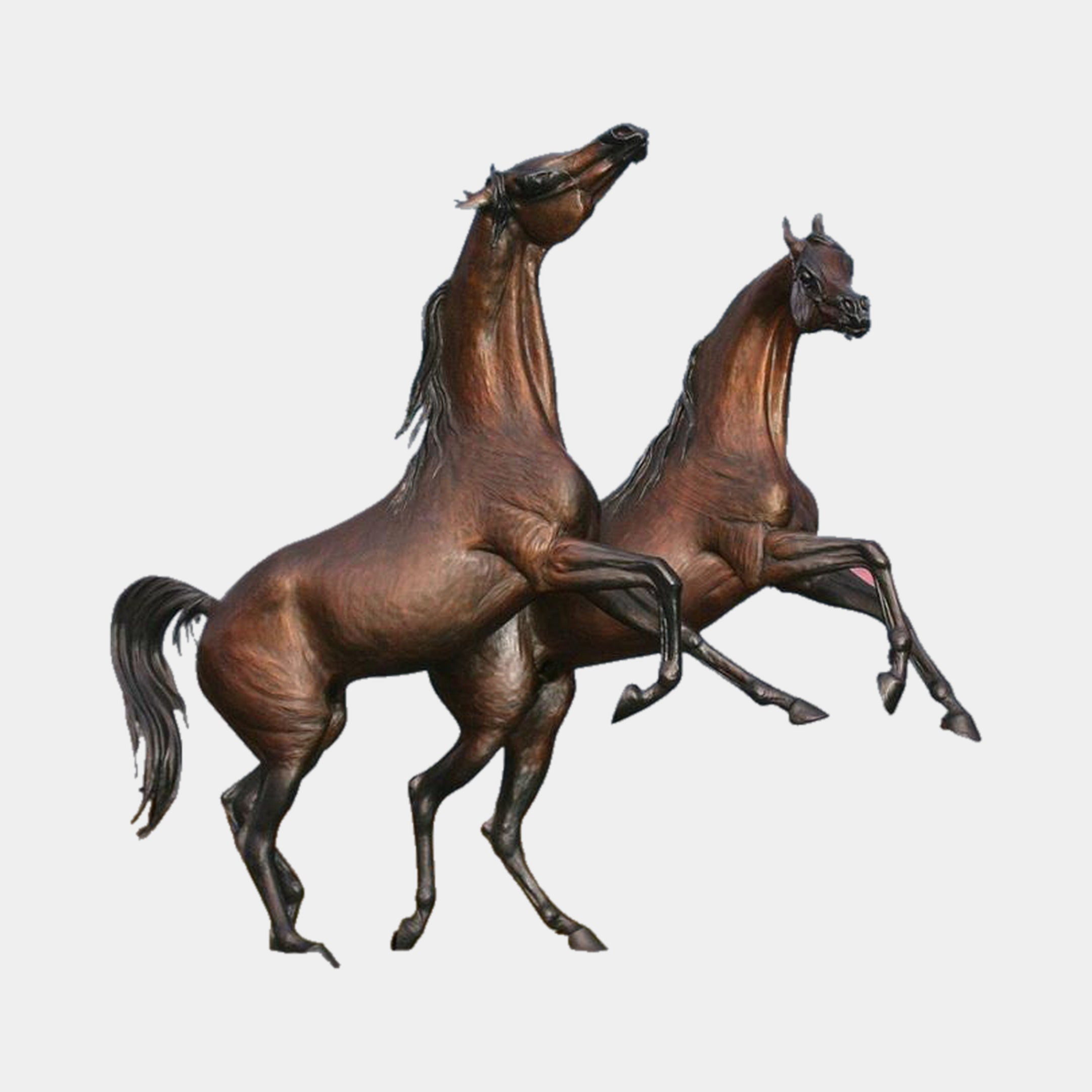 Monumental Rearing and Leaping Arabian Horses Bronze Sculpture by Giant Sculptures, 300cm, warm brown patina, two Arabians mid-action on a plain background.