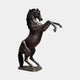 Monumental Rearing Horse Bronze Sculpture by Giant Sculptures shown from the side with dark brown patina, mane flowing and front hooves raised on a plain background.