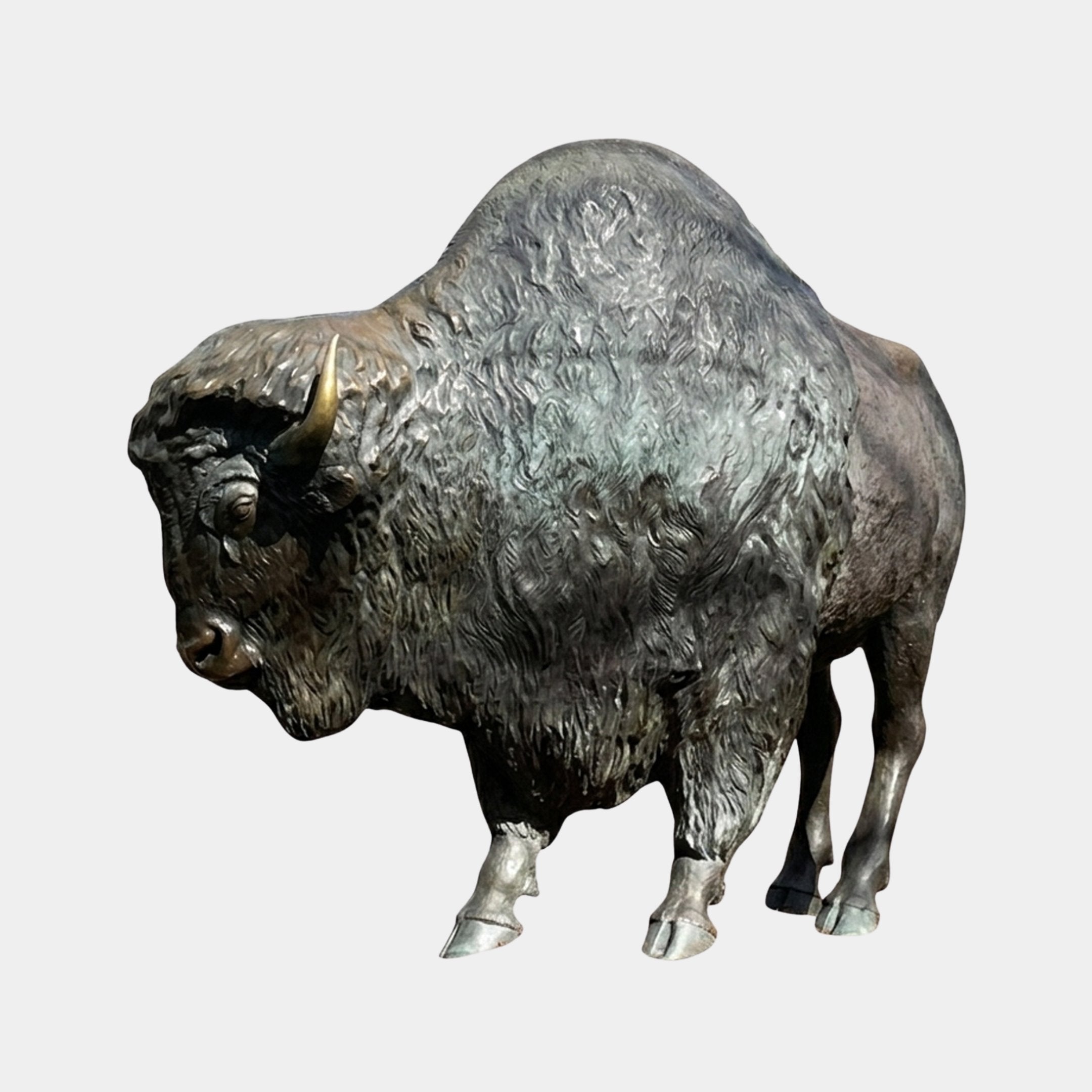 Monumental Standing Bison Bronze Sculpture - 250cm