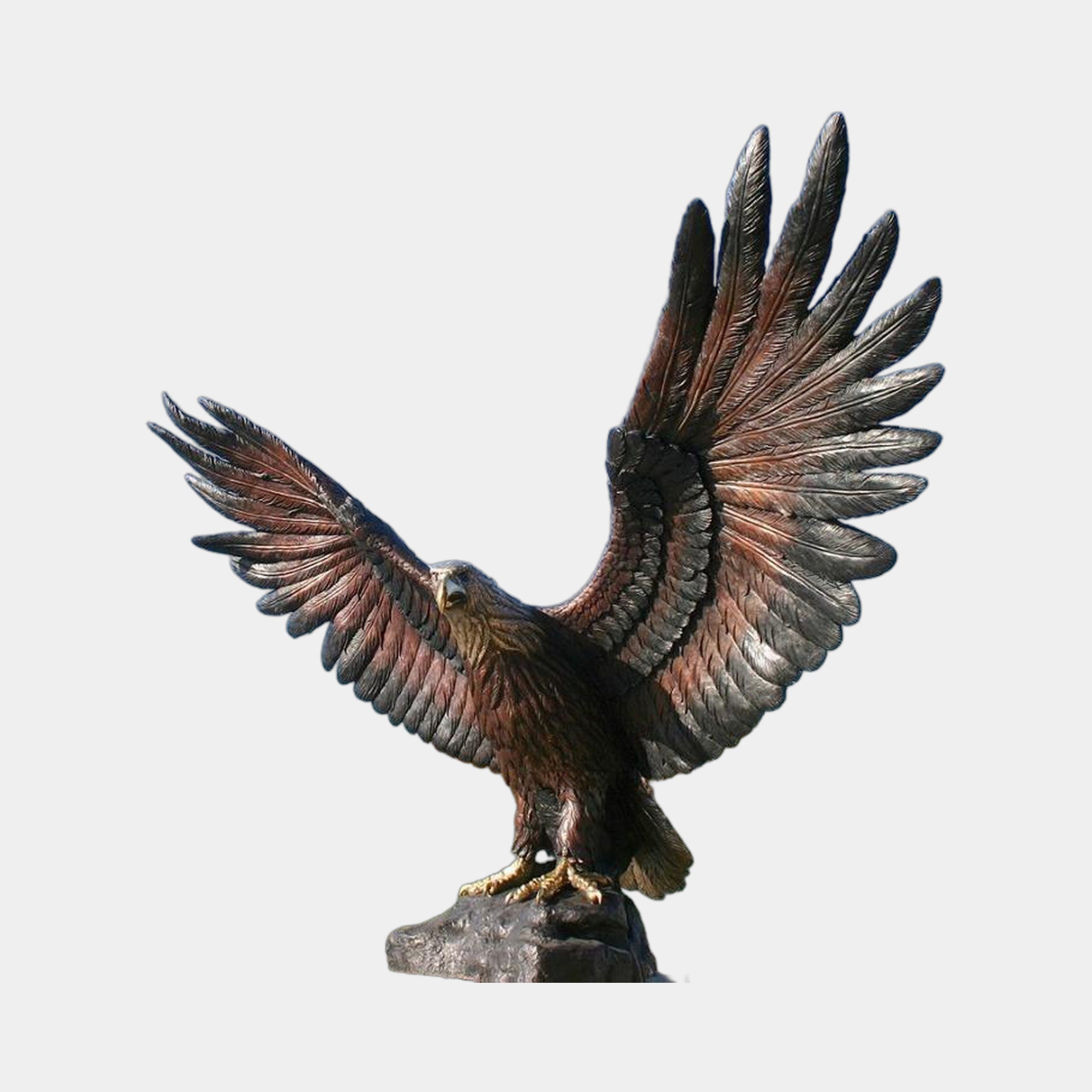 Monumental Traditional Landing Eagle Bronze Sculpture by Giant Sculptures, 260cm, wings swept upward, gold talons gripping a rocky base on plain background.