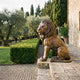 Monumental Traditional Seated Lion Bronze Sculpture by Giant Sculptures in warm golden-brown patina, seated on a stone plinth beside a villa with olive trees and cypresses.