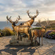 Giant Sculptures Monumental Traditional Stag Group Bronze Sculpture 280cm, four warm-toned elk on a stacked stone base, displayed on a coastal terrace.