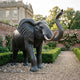 Monumental Traditional Standing Elephant Bronze Sculpture by Giant Sculptures with raised trunk and ivory tusks, dark patina, on gravel in a walled rose garden.