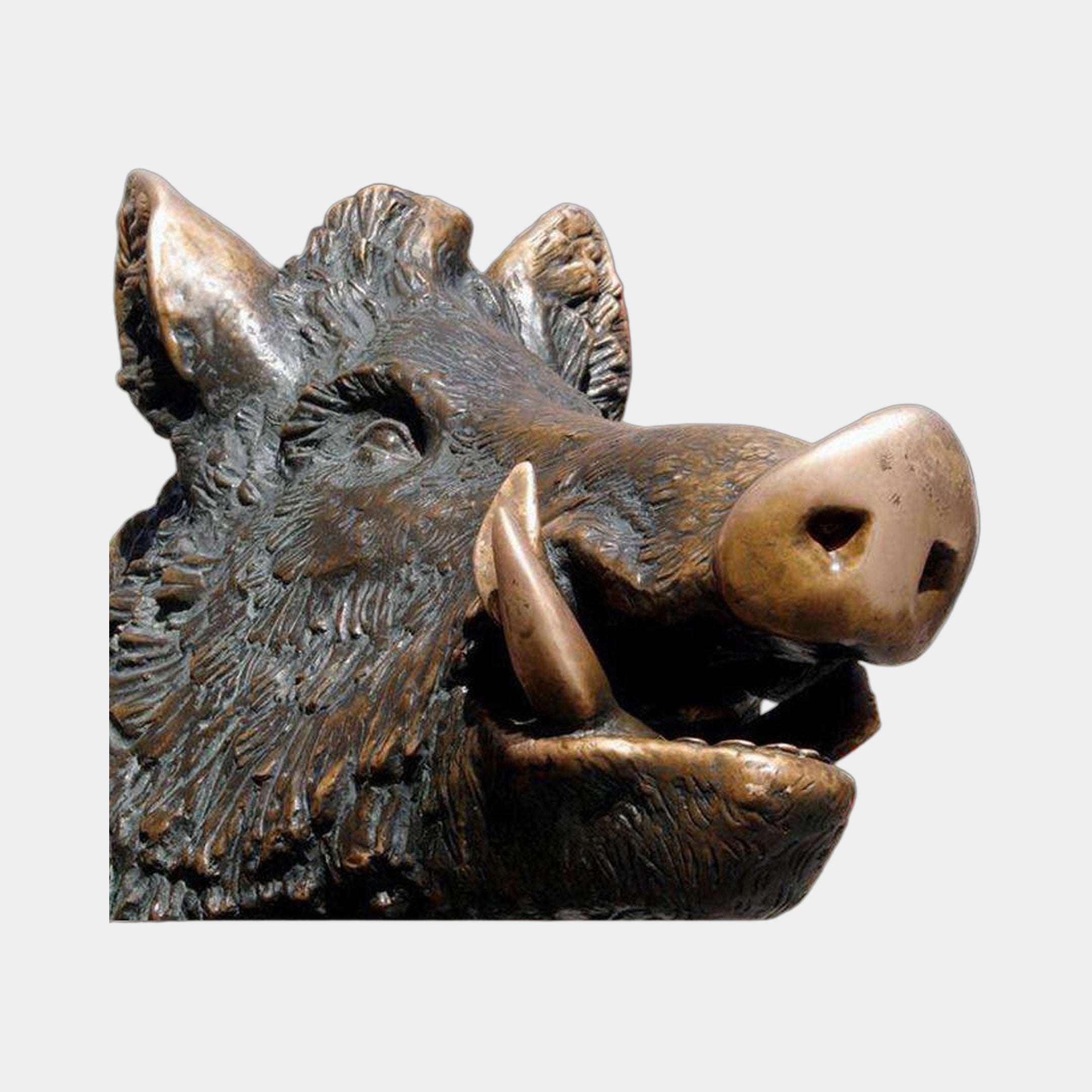 Monumental Wild Boar Head Bronze Sculpture by Giant Sculptures, shown in close profile with raised tusks, lifted snout, and polished golden-bronze highlights against dark patina.