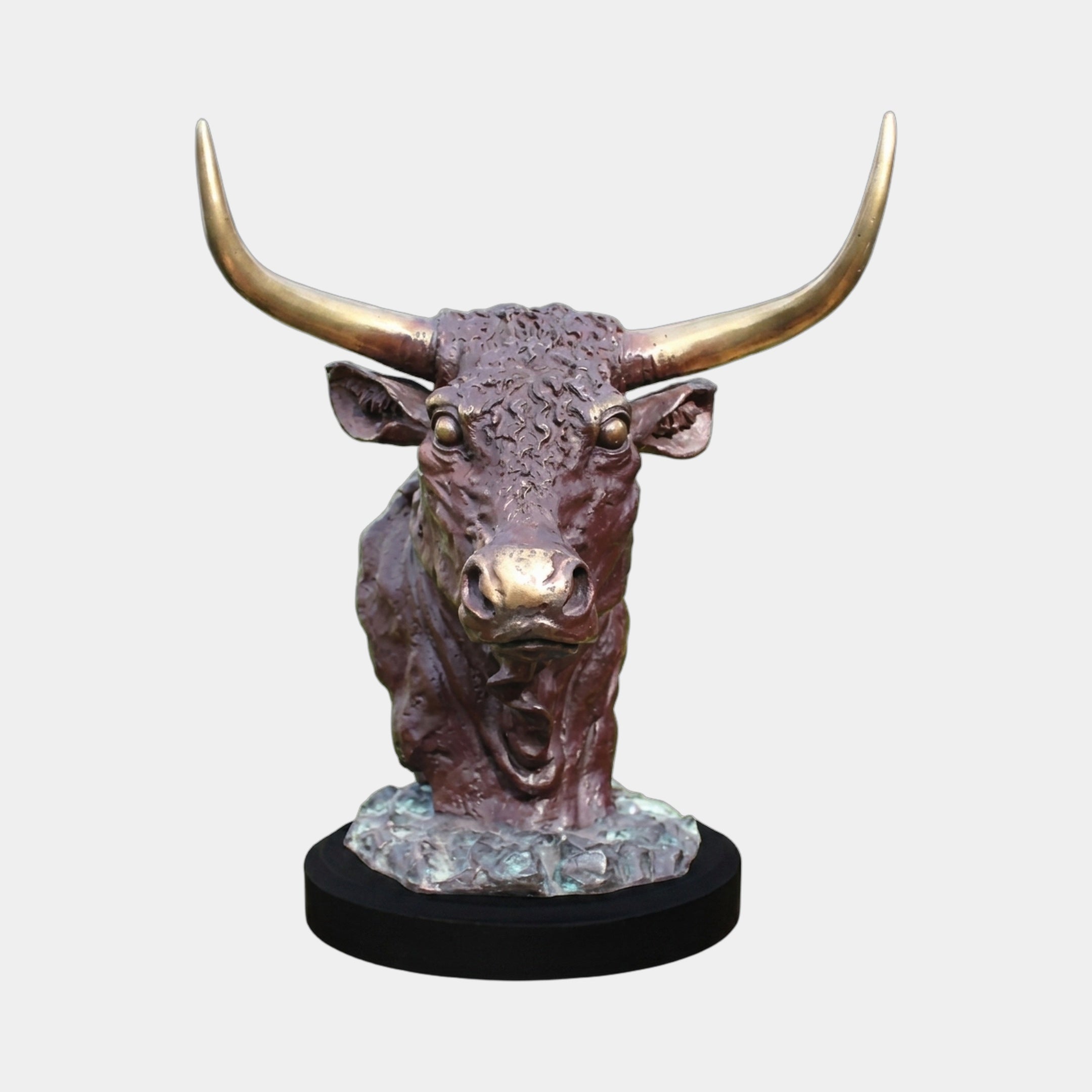 Traditional Bull Head Bronze Bust by Giant Sculptures, frontal view showing reddish-brown patina, polished golden horns and muzzle, on a black cylindrical plinth.