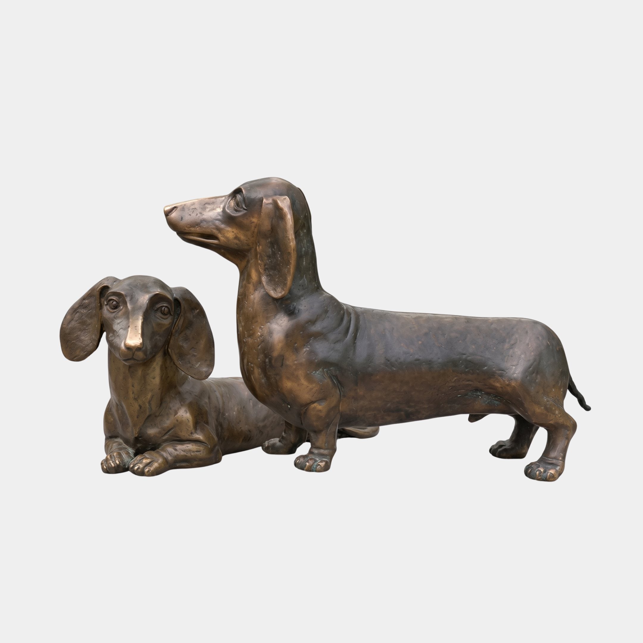 Traditional Dachshund Pair Bronze Sculpture by Giant Sculptures, 40cm, showing one standing dachshund with head raised and one lying beside it, antique brown patina, plain background.