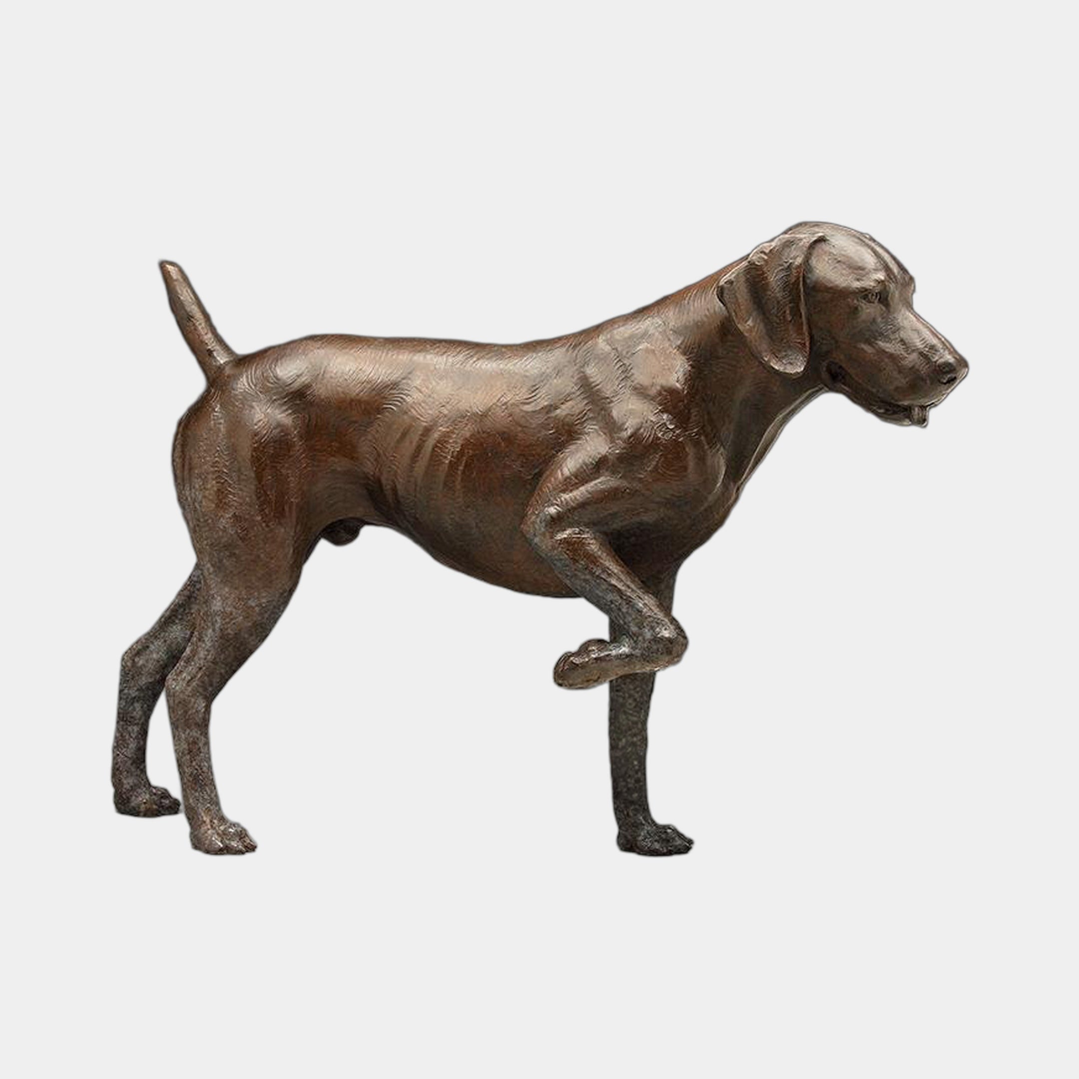 Traditional Labrador Retriever Dog Bronze Sculpture by Giant Sculptures shown in side profile with one front paw raised in a pointing stance, warm brown patina.