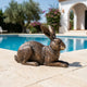 Traditional Lying Hare Bronze Sculpture by Giant Sculptures, 25cm, resting in profile with ears upright on stone paving beside a pool and white villa.