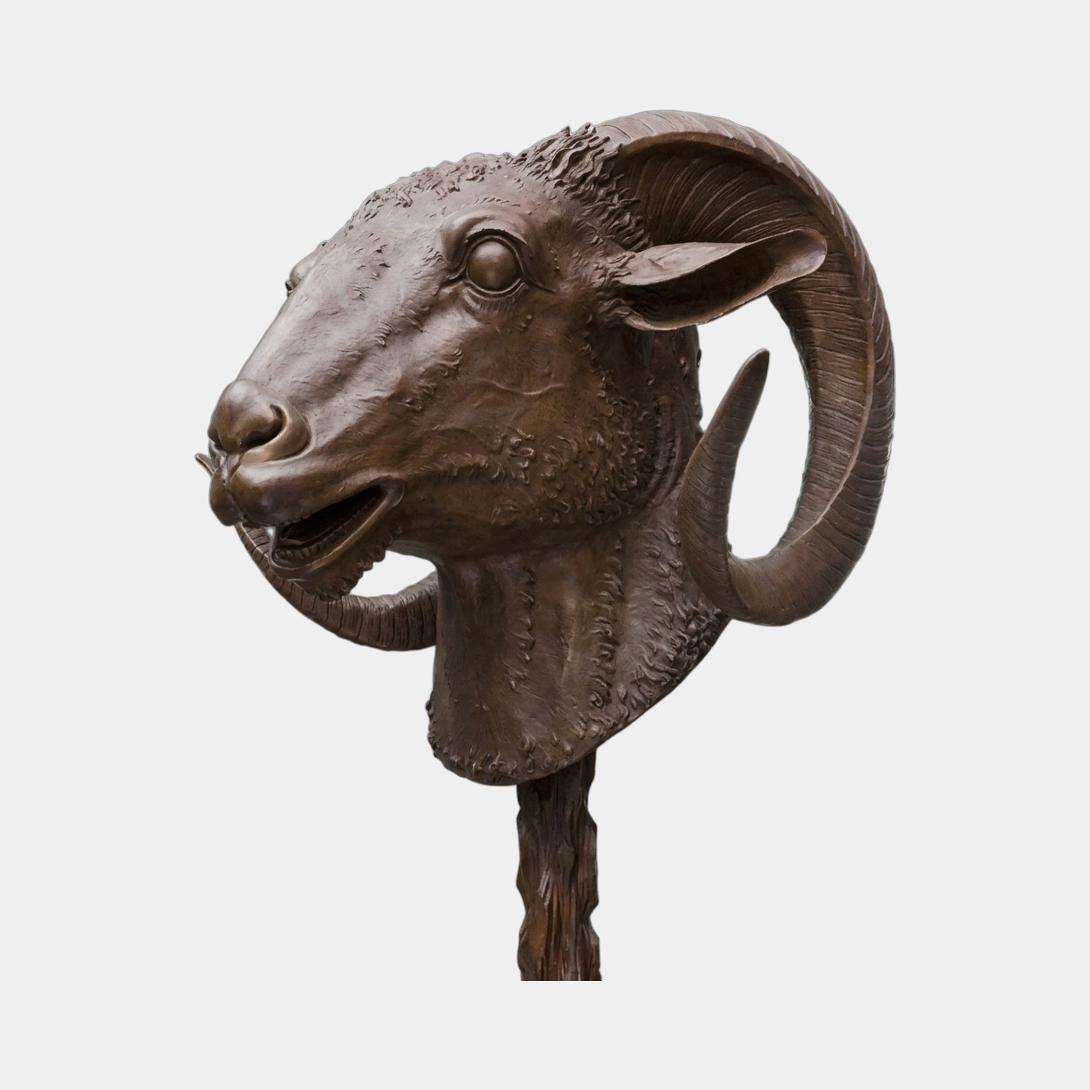 Traditional Ram Head Bronze Sculpture by Giant Sculptures in three-quarter view, showing spiralled ribbed horns and woolly fleece texture on a twisted shaft.