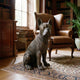 Traditional Seated French Bulldog Bronze Sculpture by Giant Sculptures, dark antique patina, displayed on a patterned rug beside a leather wingback chair in a library.