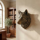 Traditional Wolf Head Bronze Sculpture by Giant Sculptures mounted on a beige wall beside a library with arched window, bookcase, and potted olive tree.